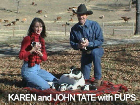 Karen and John Tate with Stock Dog Pups