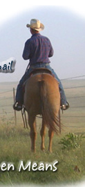 Ben Means brings you 45 years of stockdog experience.